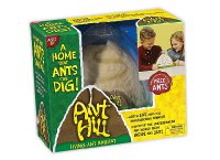 Ant Hill