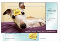 Direct Mail Postcard 1