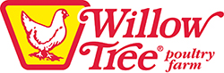 WT Color Logo